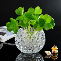 Vase en verre pour plantes, très vendu sur TikTok, de haute qualité, avec logo personnalisé, pour table, mariage, hydroponie, décoration florale pour la maison