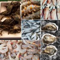 Hydrolase protéinique de poisson favorisant la dégradation des protéines macromoléculaires dans les matières premières de poisson, Hydrolase protéinique de poisson