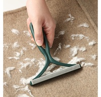 Outil manuel de suppression des poils d'animaux en plastique réutilisable double face pour canapé, vêtements, tapis, éliminateur de poils d'animaux portable