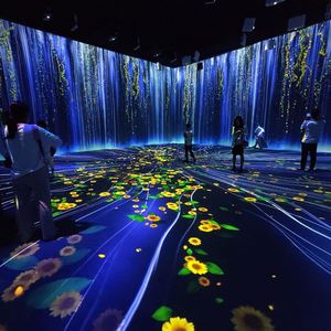 Projecteur interactif pour enfants, jeu 3D, multimédia, projection holographique multicanal, projection au sol intérieure, 1 an, taille 2x3m+2x6m - Product Image 1