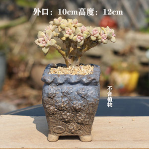 Maceta de flores de pila antigua suculenta al por mayor Maceta de cerámica en bruto mate vintage en relieve Maceta de muesca de acantilado creativa - Product Image 3