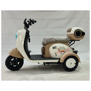 Nouveau Tricycle Électrique 2026 pour Femmes, Transport d'Enfants, avec Boîte de Rangement, 48V 60V 600W, Scooter Électrique à 3 Roues pour Usage Familial Adulte - Product Image 5