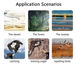 Richiamo Elettronico Digitale per Uccelli per la <span class=keywords><strong>Caccia</strong></span> a Quaglia, Pernice, Beccaccia, Colombaccio - per Allarmi, Cicalini, Sirene - Product Image 4