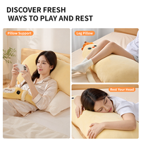 Coussin en peluche en forme de mangue, design Pat-Pat Gadget pour s'agripper aux jambes, aide au sommeil confortable pour femmes, adultes et femmes enceintes, en coton PP