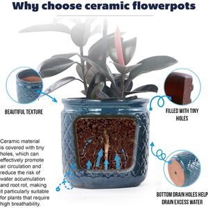 Pot de fleurs en céramique bleu marine cylindrique de 9, 12 et 15 pouces avec trou de drainage pour usage intérieur - Product Image 4