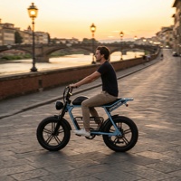 Vélo électrique rétro à pneus larges avec longue banquette, idéal pour la balade sur les pavés et les visites des quartiers historiques