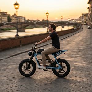 Vélo électrique rétro à pneus larges avec longue banquette, idéal pour la balade sur les pavés et les visites des quartiers historiques - Product Image 5