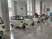 Nouvelle Voiture Électrique à Énergie Renouvelable, Mini Véhicule Électrique 4 Roues pour Adultes, SUV Électrique, Véhicule à Basse Vitesse, Moteur 1000W, Freins à Disque Doubles