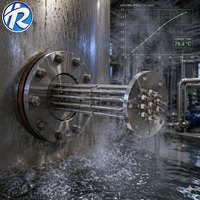 Chauffe-eau industriel à immersion 8kW 380V triphasé DN65 à bride de 2,5 pouces en acier inoxydable pour chaudière