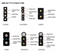 Kabel Fiber Optik G652d G657a Singlemode Outdoor Ftth 1core 2core Flat Fiber Drop Cable