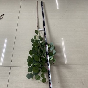 FANCY Haute Qualité 90cm Feuilles d'Eucalyptus Artificielles en Soie à Tige Unique pour Décoration Intérieure et Extérieure - Product Image 6
