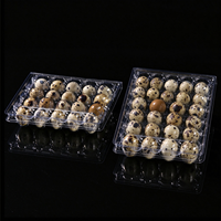 Plateau de rangement pour œufs de caille 6 12 15 18 20 24 30 - Emballage en plastique transparent PET - Barquette à œufs de caille avec couvercle