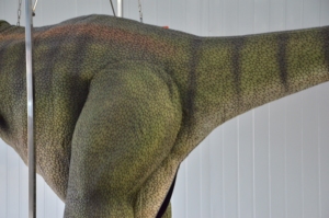Modèles animatroniques réalistes de haute qualité personnalisés, Jurassic <span class=keywords><strong>Park</strong></span>, modèle de dinosaure, animatroniques d'Halloween, Jurassic <span class=keywords><strong>Park</strong></span> - Product Image 5