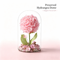 Kubah Kaca Bunga Hydrangea Pink Awet, Bunga Asli Abadi di Bawah Penutup Kaca, Hiasan Meja, Hadiah Valentine Ulang Tahun, Grosir