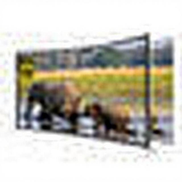 4K High-definition LED Eye Protection Curved Screen 49 Inch Android Smart Television 50/60Hz Refresh Rate Wide Screen Supported