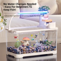 Aquarium de bureau carré personnalisable en gros avec kit de filtration LED et de décoration
