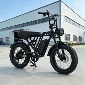 V20 Bike Women 750W Lithium Battery 15Ah Pedal-Assist 7-Speed High Speed Rear <b>Hub</b> Motor Carbon Steel City Bike - Product Image 3