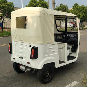 Tricycle à trois roues pour adultes, tricycle électrique pour passagers, véhicule EEC pour les voyages, les excursions touristiques, les taxis à grande vitesse - Product Image 4