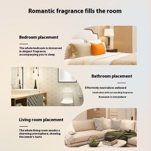 <span class=keywords><strong>Parfum</strong></span> <span class=keywords><strong>de</strong></span> diffuseur <span class=keywords><strong>de</strong></span> roseau <span class=keywords><strong>de</strong></span> luxe personnalisé, air frais, <span class=keywords><strong>parfum</strong></span> durable, huile essentielle <span class=keywords><strong>de</strong></span> décoration d'intérieur, <span class=keywords><strong>parfum</strong></span> - Product Image 6