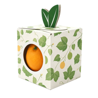 B2B op maat gemaakte golfkartonnen productenverpakkingen OEM ODM fabriek gestanste ventilatiegaten kraftkarton fruit- en groentekarton