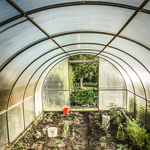 Garantie de 10 ans Feuilles de <span class=keywords><strong>soleil</strong></span> enduites UV Feuille de poly carbonate Pc Panneaux de serre en polycarbonate à double paroi creuse - Product Image 5
