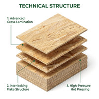 Fournisseur en gros de panneaux OSB (Oriented Strand Board) 1220x2440mm 2800x2070mm, durables et résistants à la corrosion, pour l'emballage et la fabrication de meubles