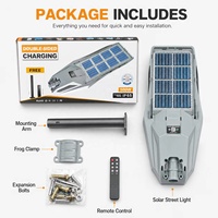 Venta al por Mayor de Fábrica: Farola Solar de 500W, Doble Cara, Monocristalina, 199 LED, Brillo Ajustable, para Jardín, Villa y Carretera