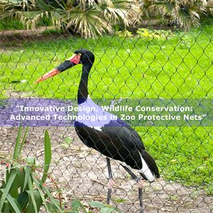 Matériel tissé durable de filet d'oiseau pour le prix usine de jardin <span class=keywords><strong>zoologique</strong></span> pour clôturer le treillis et les portes - Product Image 3