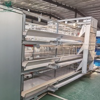 Système de cages à poules pondeuses de type H entièrement automatique, équipements d'élevage avicole galvanisés, cage à batterie pour poules pondeuses
