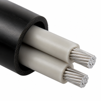AL/XLPE/PVC 2-adriges Aluminium-Leistungskabel mit XLPE-Isolierung und PVC-Mantel 4x50mm² 0,6 1kV Stromübertragung