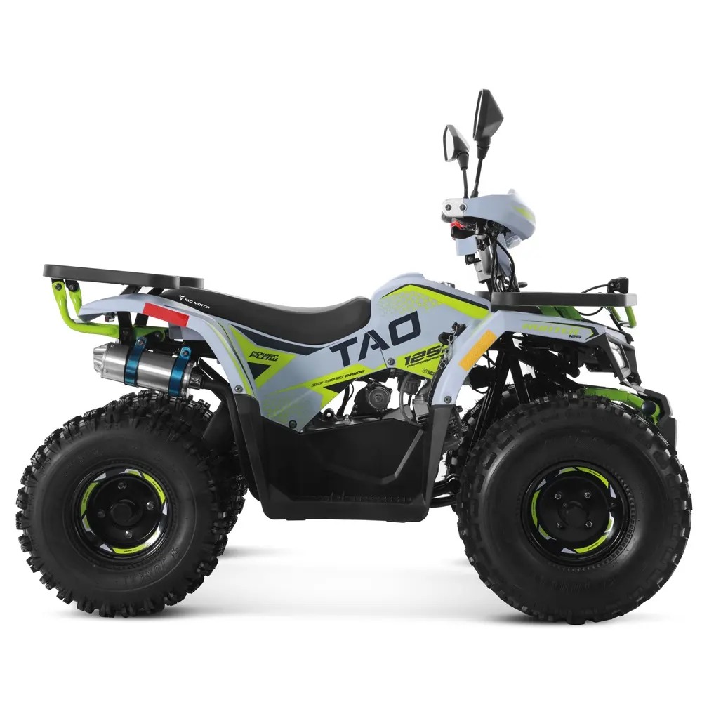 Tao Motor 2024 Off-road Farm Cheap Gas Powered Cuatrimoto Quadricycle Automatic 4 stroke engine 110cc 125cc ATV for Kids