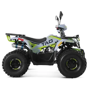 Tao Motor 2024 Off-Road Boerderij Goedkope Gas Aangedreven Cuatrimoto Quadricycle Automatische 4-takt Motor 110cc 125cc Atv Voor Kinderen