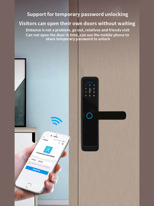 โรงงาน OEM ผลิตและจำหน่ายโดยตรง ล็อคอัจฉริยะสำหรับภายนอกอาคาร เชื่อมต่อ WiFi ผลิตจากเหล็ก ทองเหลือง และสแตนเลส สำหรับประตูบ้าน พร้อมระบบจัดเก็บข้อมูลบนคลาวด์ - Product Image 4