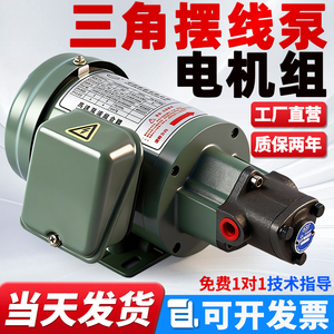 Triangular Cycloidal Pump Motor 220V Oil Gear Pump TOP 12A Machine Tool Lubrication - Product Image 3