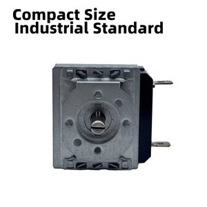 60 phút CE ROHS chứng nhận lò hẹn giờ cơ khí-110V-240V Điện áp toàn cầu CE thấp moq lò hẹn giờ không có chuông - Product Image 2