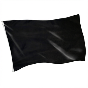 Bandiera 3x5 in Poliestere Resistente per Esterni/Interni con Occhielli per Giardino/Patio/Muro - Team Sports America per Las Vegas Raiders - Product Image 1