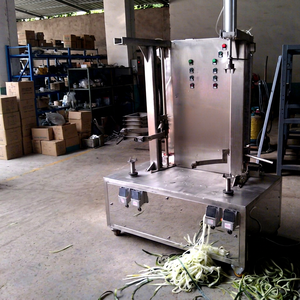Nouvelle conception, machine à éplucher les citrouilles, ananas et papayes, entièrement automatique, fabriquée par le fabricant - Product Image 1