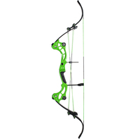 Ensemble de tir à l'arc de chasse de style américain F164 Bow Composite & Recurve Bow avec flèches fabriquées en Chine continentale