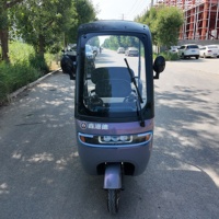 Scooter ecológico de tres ruedas de baja velocidad New Energy-Ideal para paseos cortos en la Comunidad