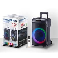Haut-parleur karaoké portable sans fil pour l'extérieur radio FM basse lumière LED DJ Party BT woofer actif fort chariot Haut-parleur