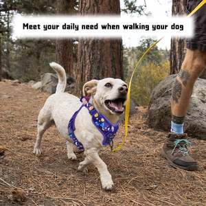 เสื้อกั๊กสัตว์เลี้ยงแบบไม่มีสายดึงปรับได้สะท้อนแสงนุ่มสำหรับสุนัขพันธุ์เล็กขนาดกลางขนาดใหญ่การฝึกกลางแจ้ง - Product Image 2
