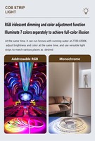 Bande LED COB adressable RGB CCT 24V 840LED/m 10mm 12mm WS2811 RGBCW RGBWW RGB+3000K-6500K Dreamcolor Lumière flexible Éclairage uniforme