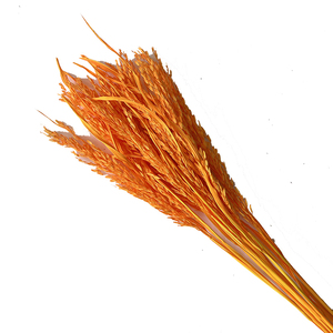 <span class=keywords><strong>ข้าว</strong></span>แหลมสำหรับประดับตกแต่ง<span class=keywords><strong>บ้าน</strong></span>,ดอกตะปูสำหรับตกแต่งร้านกาแฟดอกไม้งานแต่งงานต้นไม้ธรรมชาติสีสันสดใส - Product Image 3