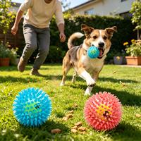 Jouet à mâcher pour chien en TPR souple avec balle de tennis intégrée, sonore, pour massage des gencives et jeu interactif