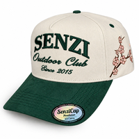 Casquette de baseball en coton Oxford à 5 panneaux avec broderie de logo personnalisé, style A-Frame, snapback unisexe, vente en gros, Gorra De Béisbol OEM