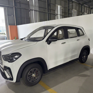 Nuevo Modelo 2026, Vehículo Eléctrico de Alta Calidad, Baja Velocidad, 45 km/h, Totalmente Cerrado, Cuatro Ruedas, SUV Eléctrico de 4000w - Product Image 1