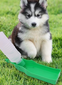 Wholesale Portable for Outdoor <b>Dog</b> Walking & Outside Trip Water Dispenser With Hook Design Foldable Pet Water <b>Bottle</b> Pet Supplie - Product Image 4