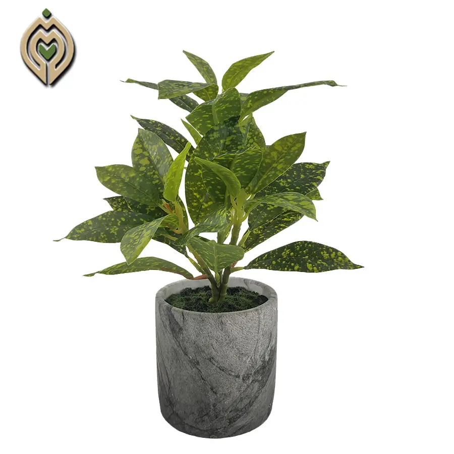 Оптовая продажа, высококачественное искусственное вечнозеленое растение в горшке для домашнего декора
