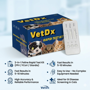 Kit de test rapide pour la périarthrite périostale infectieuse féline (<span class=keywords><strong>FIP</strong></span>/FIPV) : antigène et anticorps, équipement de diagnostic vétérinaire pour animaux de compagnie - Product Image 1