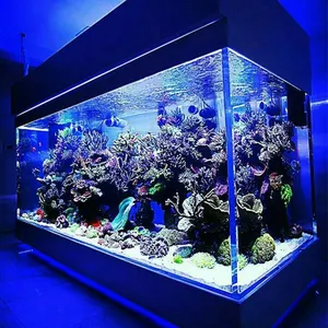 圆形水族馆圆筒公共丙烯酸水族馆鱼缸，全设置100% 进口材料lucite